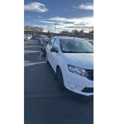 Porte arriere gauche DACIA SANDERO 2 Photo n°6