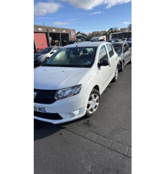 Porte arriere gauche DACIA SANDERO 2 Photo n°7