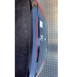 Malle/Hayon arriere PEUGEOT 307 Photo n°4