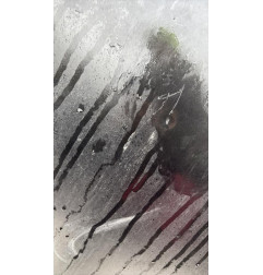 Capot PEUGEOT 307 Photo n°4