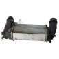 Echangeur air (Intercooler) RENAULT GRAND SCENIC 4