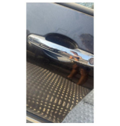 Porte avant gauche FIAT 500L Photo n°3