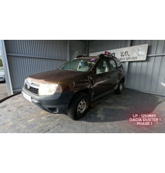 Porte arriere droit DACIA DUSTER 1 Photo n°14