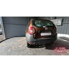 Porte avant gauche DACIA DUSTER 1 Photo n°9