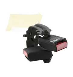 Attache ceinture arriere gauche RENAULT MEGANE 3 Photo n°1