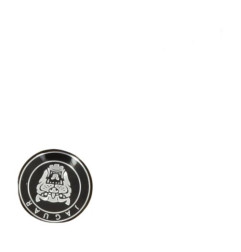 Air bag conducteur JAGUAR XK 2 Photo n°3