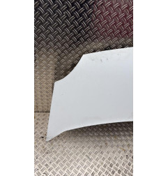 Capot RENAULT KANGOO 2