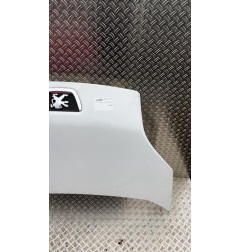 Capot PEUGEOT BIPPER Photo n°1