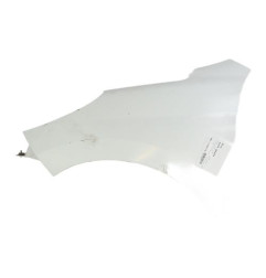 Aile avant gauche PEUGEOT 207 Photo n°1