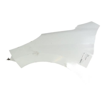 Aile avant gauche PEUGEOT 207 Photo n°1