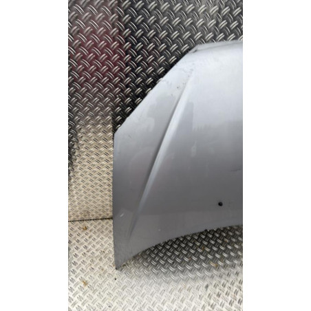 Capot PEUGEOT 206 Photo n°1