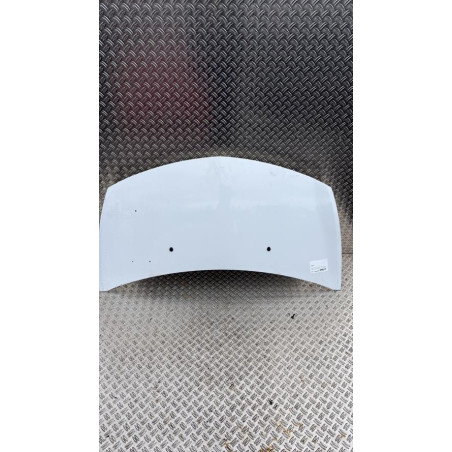 Capot RENAULT CLIO 3 Photo n°1