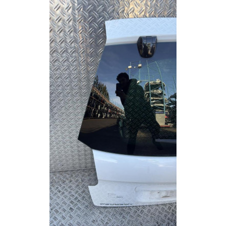 Malle/Hayon arriere PEUGEOT 207 Photo n°1