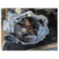 Boite de vitesses VOLKSWAGEN GOLF 6