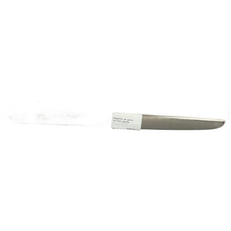 Baguette de porte arriere gauche  RENAULT SCENIC 2