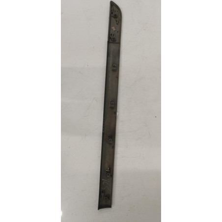 Baguette de porte avant gauche RENAULT SCENIC 2