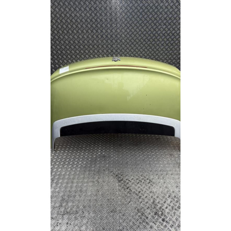 Malle/Hayon arriere PEUGEOT 207