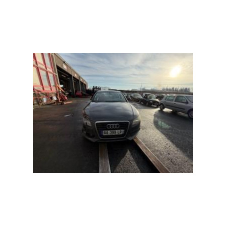 Panneau de porte avant gauche AUDI A4 3 Photo n°1