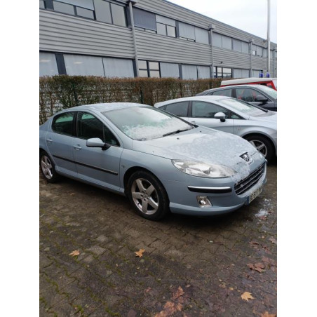 Poignee porte avant droit PEUGEOT 407 Photo n°1