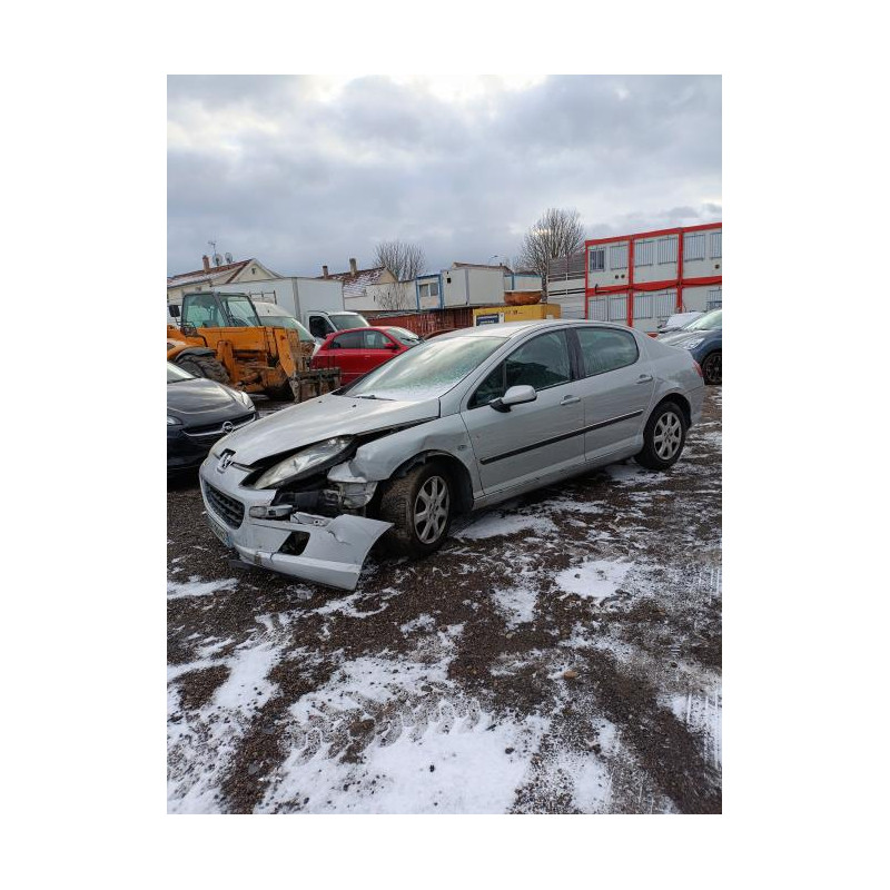 Baguette de porte arriere droite PEUGEOT 407