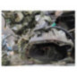 Boite de vitesses RENAULT SCENIC 3