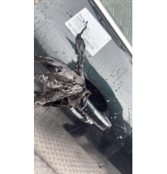 Porte avant droit JAGUAR XK 2 Photo n°3