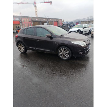 Panneau de porte arriere gauche RENAULT MEGANE 3 Photo n°1