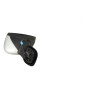 Retroviseur droit RENAULT CLIO 4