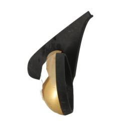 Retroviseur gauche RENAULT CLIO 2 Photo n°4