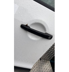 Porte avant gauche CITROEN C3 PICASSO Photo n°4