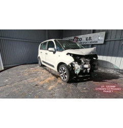 Porte arriere gauche CITROEN C3 PICASSO Photo n°12