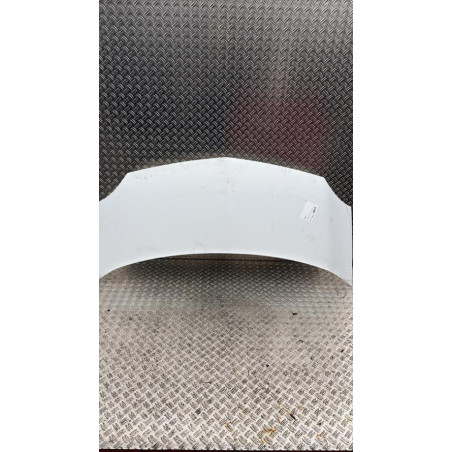 Capot RENAULT KANGOO 2 Photo n°1