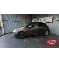 Porte arriere gauche PEUGEOT 208 1 Photo n°6