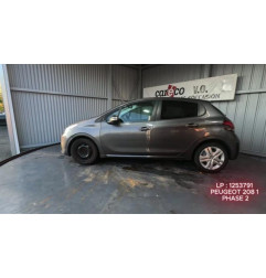 Porte arriere gauche PEUGEOT 208 1 Photo n°7