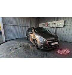 Porte arriere gauche PEUGEOT 208 1 Photo n°13