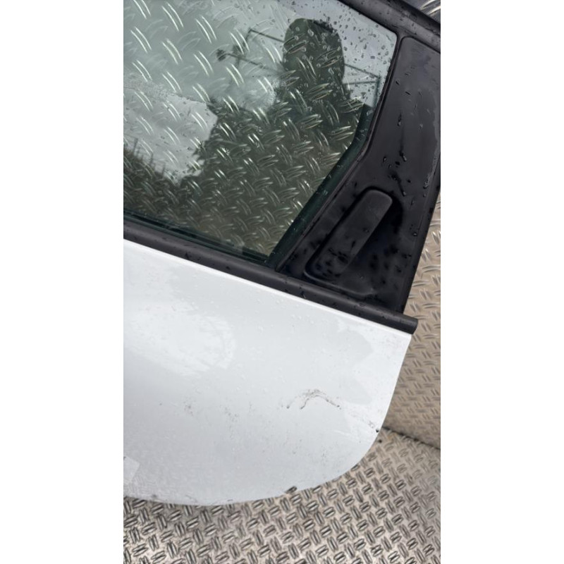 Porte arriere gauche RENAULT CLIO 4