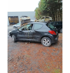 Porte avant droit PEUGEOT 207 Photo n°7