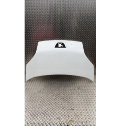 Capot PEUGEOT BIPPER Photo n°3