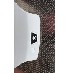 Capot PEUGEOT BIPPER Photo n°4