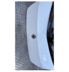 Malle/Hayon arriere RENAULT CLIO 3 Photo n°3