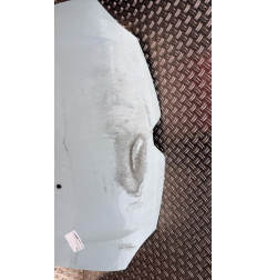 Capot RENAULT TWINGO 3 Photo n°4