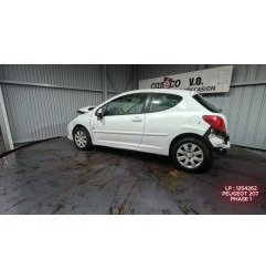 Porte avant gauche PEUGEOT 207 Photo n°4