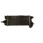 Echangeur air (Intercooler) FORD GRAND C-MAX 2