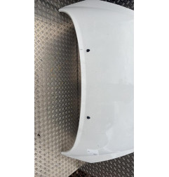 Capot PEUGEOT 207 Photo n°5