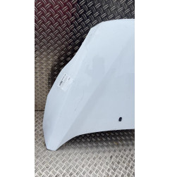 Capot FORD GRAND C-MAX 2 Photo n°1