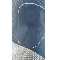 Porte arriere gauche NISSAN MICRA 4