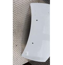 Capot RENAULT CLIO 3 Photo n°4