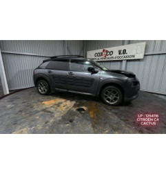 Malle/Hayon arriere CITROEN C4 CACTUS Photo n°10