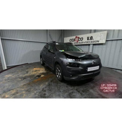 Porte arriere droit CITROEN C4 CACTUS Photo n°13