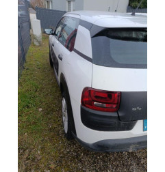 Porte avant gauche CITROEN C4 CACTUS Photo n°7
